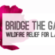 LAPP ANNOUNCES BRIDGE THE GAPS: WILDFIRE RELIEF FOR L.A. ARTISTS